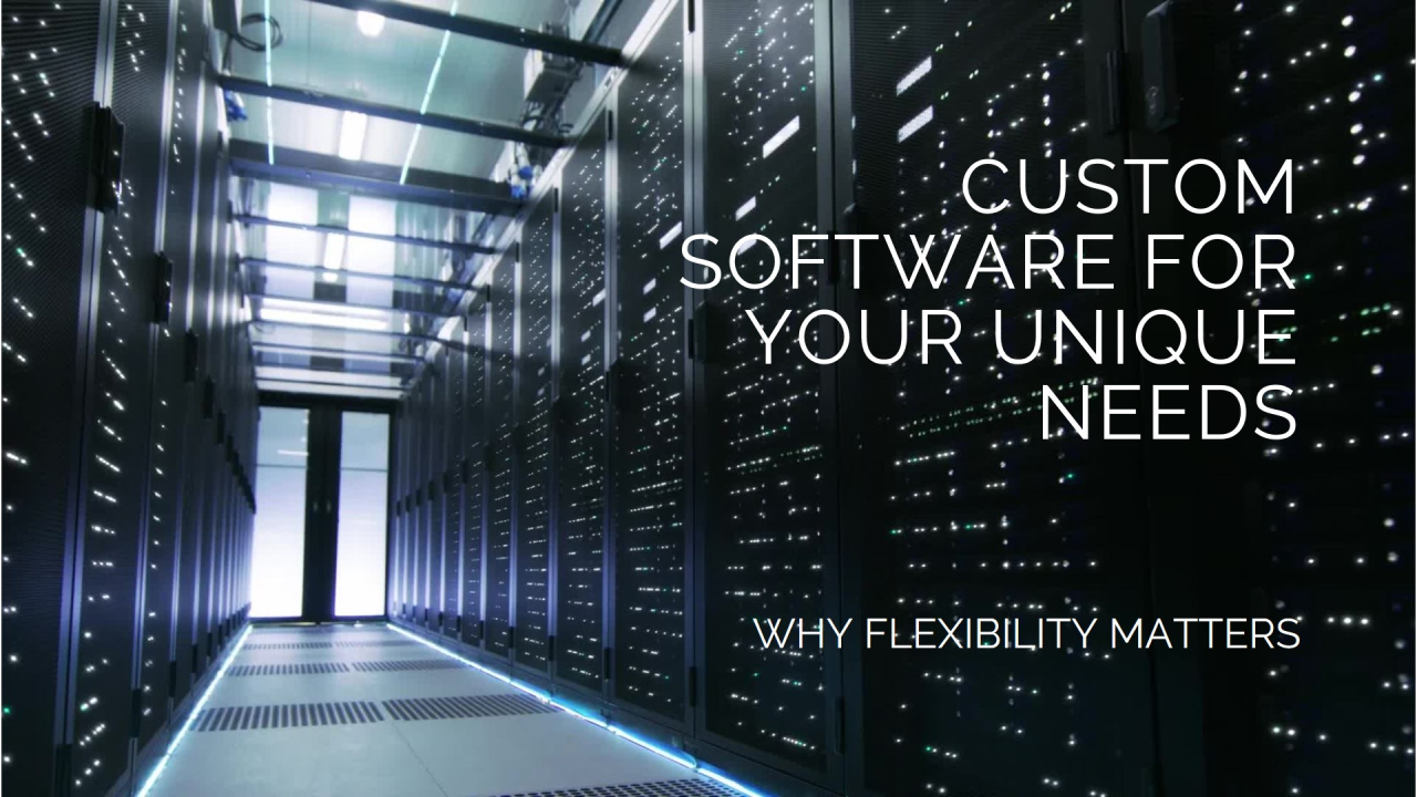 Why Flexibility Matters: Custom Software for Your Industry’s Needs